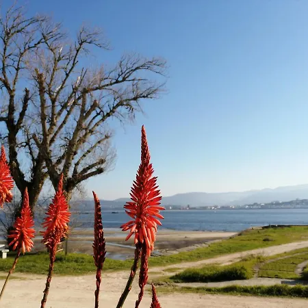 شقة Apartamento En Urbanizacion A Pie De Playa